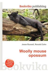 Woolly Mouse Opossum