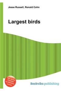 Largest Birds