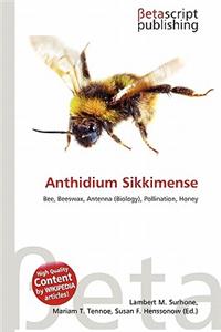 Anthidium Sikkimense