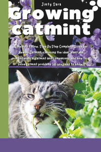 Growing catmint