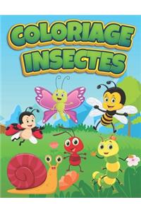 Coloriage Insectes