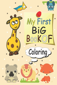 My First Big Book Of Coloring