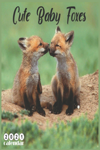 Cute Baby Foxes 2021 Calendar