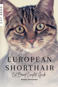 European Shorthair