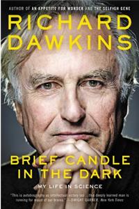 Brief Candle in the Dark