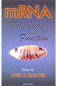 mRNA Formation and Function
