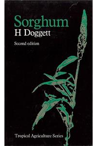 Sorghum