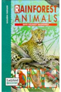 Rain Forest Animals