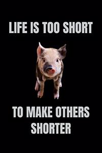 Life Is Too Short To Make Others Shorter