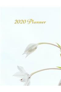 2020 Planner