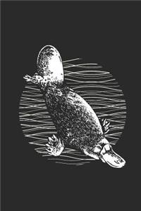 Platypus Drawing