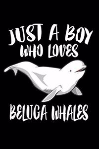 Just A Boy Who Loves Beluga Whales