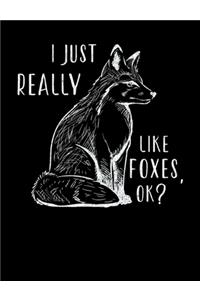 I Just Really Like Foxes OK?