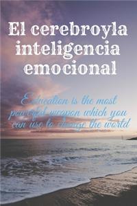 El cerebro y la inteligencia emocional