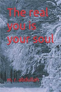 The real you is your SOUL