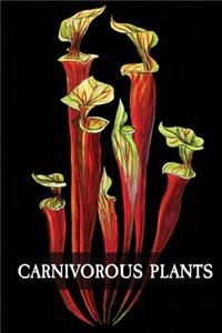 Carnivorous Plants