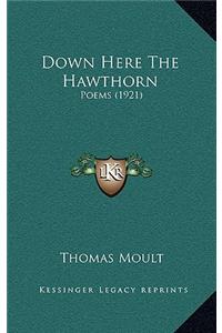 Down Here The Hawthorn