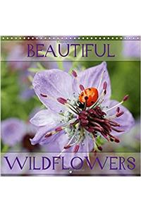 Beautiful Wildflowers 2017