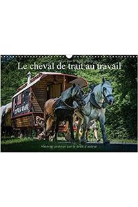Le Cheval De Trait Au Travail 2017