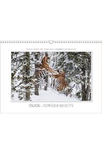 Emotional Moments: Tiger - Power & Beauty / UK-Version 2018