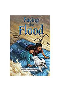 Steck-Vaughn Pair-It Books Proficiency Stage 5: Leveled Reader Bookroom Package Facing the Flood