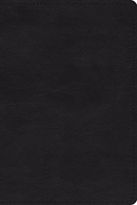 ESV Large Print Compact Bible (Trutone, Black)