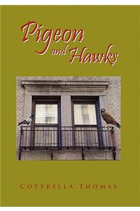 Pigeon and Hawks