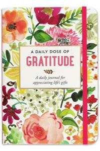 Jrnl a Daily Dose of Gratitude
