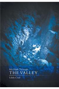 My Walk Through the Valley