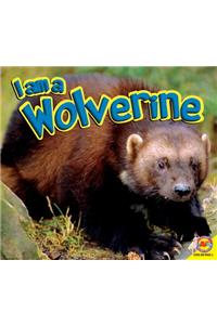 I Am a Wolverine