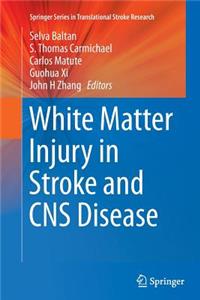 White Matter Injury in Stroke and CNS Disease