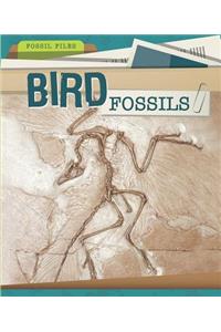 Bird Fossils