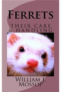 Ferrets