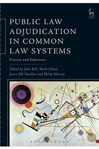 Public Law Adjudication in Common Law Systems