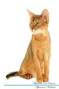 Abyssinian Cat Affirmations Workbook Abyssinian Cat Presents