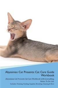 Abyssinian Cat Presents