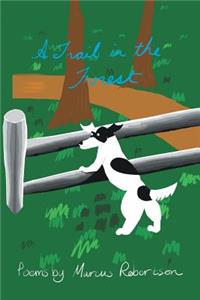 A Trail in the Forest