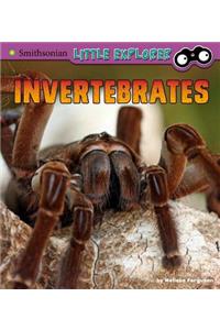 Invertebrates