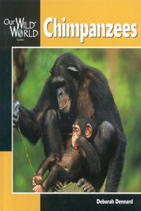 Chimpanzees