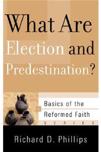 What Are Election and Predestination?