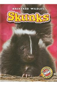 Skunks