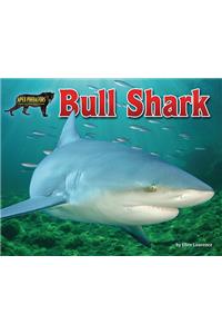 Bull Shark
