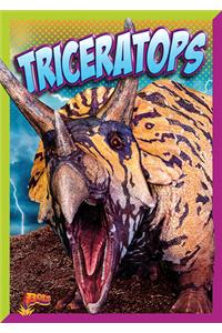 Triceratops