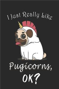 I Just Really like Pugicorn, OK ? Journal