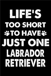 Life's Too Short To Have Just One Labrador Retriever