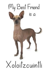 My best Friend is a Xoloitzcuintli (Squared Paper)