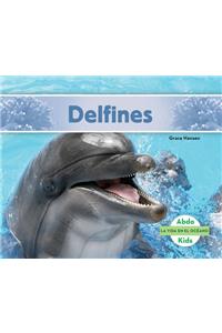 Delfines (Spanish Version)
