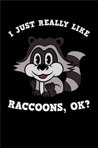 I Just Really Like Raccoons Ok