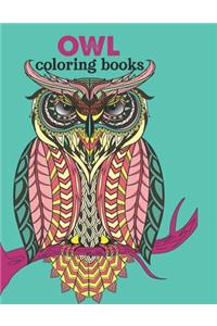 Owl coloring book