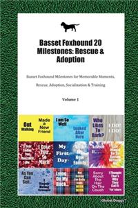 Basset Foxhound 20 Milestones